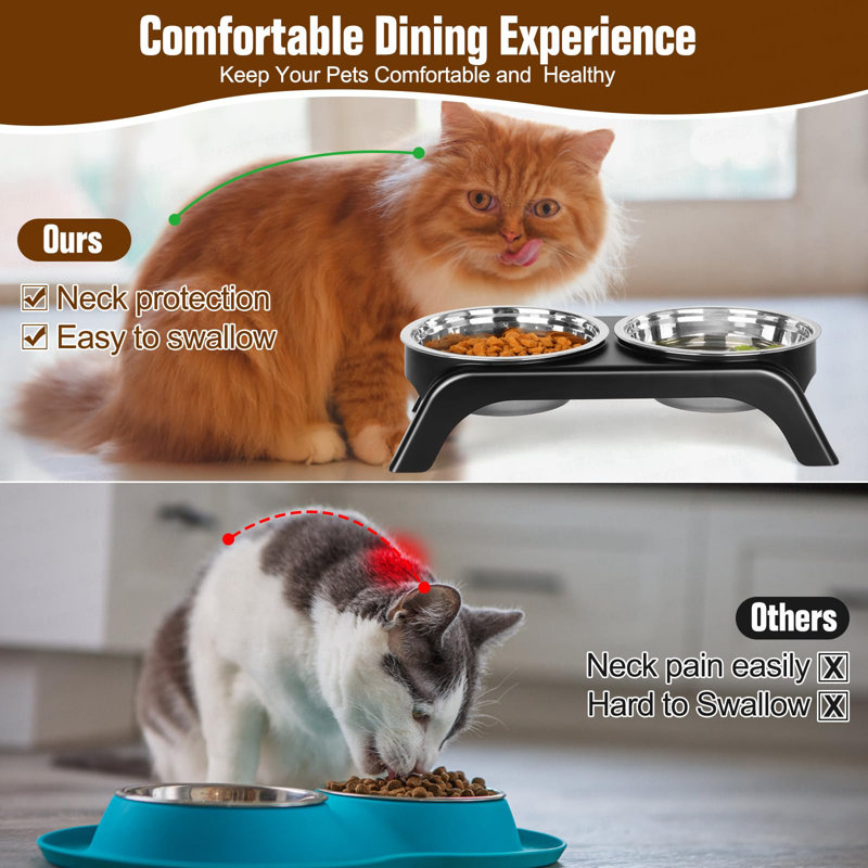 ColorLife Elevated Cat Bowls Anti Vomiting Raised Cat Food Bowl With 2 Stainless Steel Bowls Prevent Neck Pain Cat Bowl Set ABS Anti Slip Stand Cat Bowls For Indoor Cats Puppies